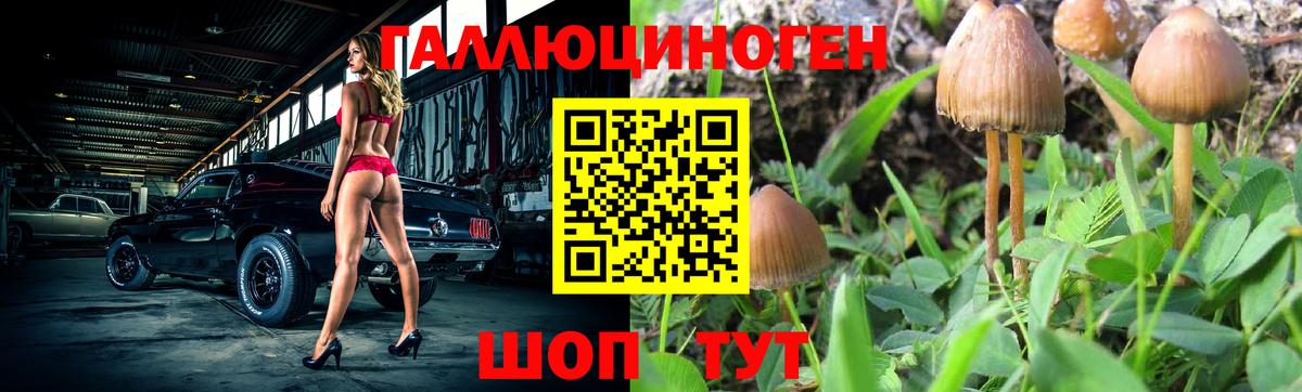 Псилоцибиновые грибы прущие грибы Краснодар